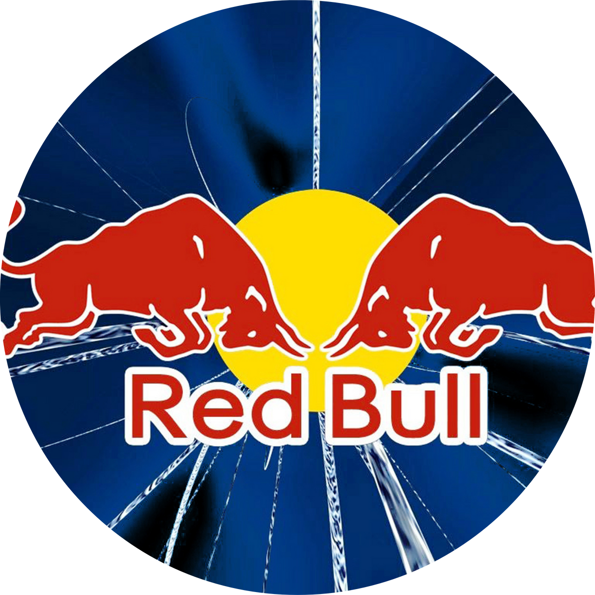 Red Bull Racing Inspired Collection